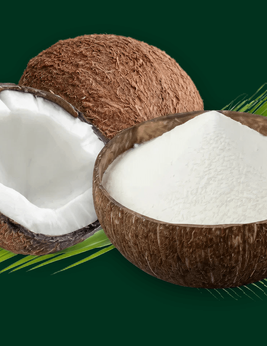 Insoluble Fiber Banner